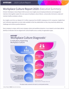 Workplace Culture Report 2020 Executive Culture Summary